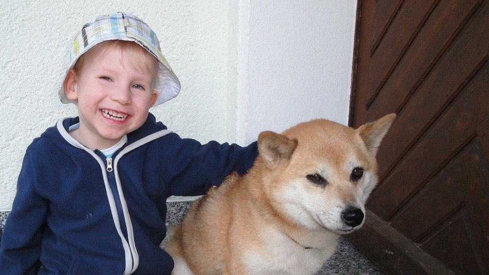 Marc-Lucas mit Nelly in der Hundeschule Dresden und Tierpsychologie Sachsen