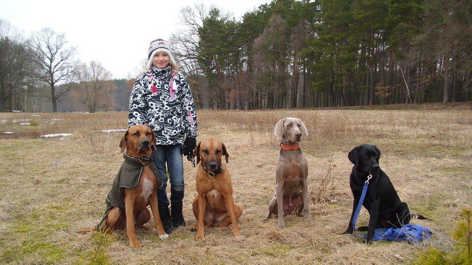 Mit 5 Schülern in der Hundeschule Dresden und Tierpsychologie Sachsen
