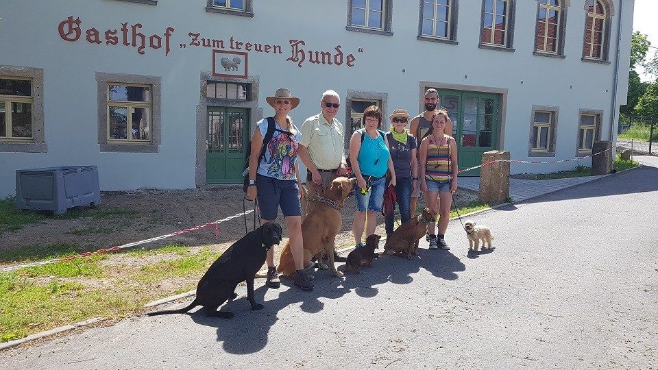 Hundeschule und Tierpsychologie in Dresden und Sachsen