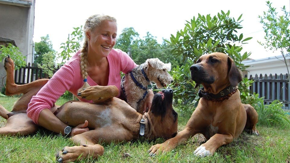 Hundeschule und Tierpsychologie Dresden Iris Bahrke-Schabacker