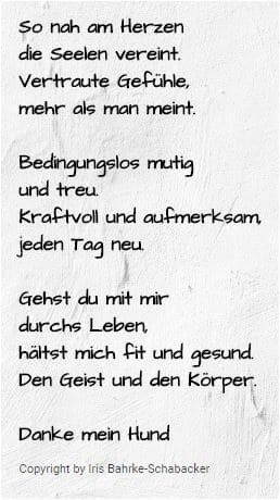 Hundeschule und Tierpsychologie Dresden Iris Bahrke-Schabacker Danke mein Hund