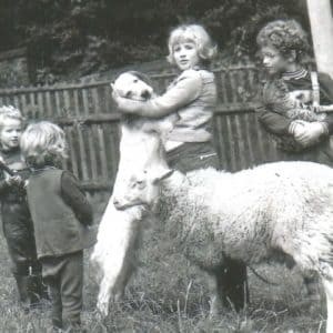 Hundeschule und Tierpsychologie Dresden Iris Bahrke-Schabacker Geschwister